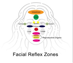 Facial Reflex Zones